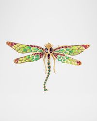 Echo Dragon Fly Objet