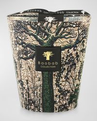 Sacred Trees Kani 4-Wick Max16 Candle, 77.6 oz.