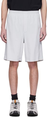 GR10K Short Render Ultrasound gris