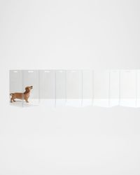 Clear Freestanding Pet Gate Zig Zag, 10-Panel