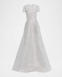 Metallic Raffia Embroidered Short-Sleeve Gown