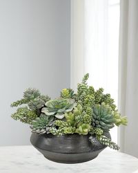 Succulents in Planter