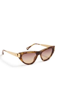 Chloé Holly Sunglasses Havana-Gold-Brown One Size