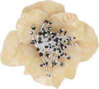 Valentino Garavani Off-White Fleur Lumineuse Pin