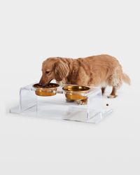 Small Clear Double Pet Bowl Feeder with 1 Pint Gold Bowls