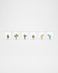 Desert Plants Assorted Tumblers, Set of 6