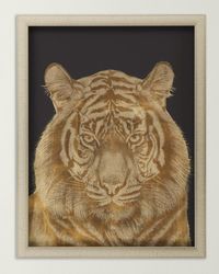 'Tiger Portrait' Wall Art