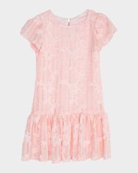 Girl's Amanda Floral Embroidered Drop-Waist Dress, Size 7-16