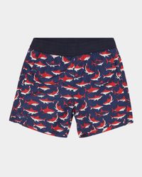 Boy's Shark-Print Swim Shorts, Size 12-14
