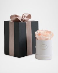Classic Mini Round Rose Box