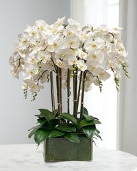 Orchid in Glass Planter