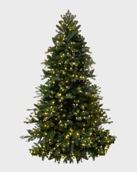 Chesapeake Fir Pre-Lit Christmas Tree with Warm White LED Lights, 9'