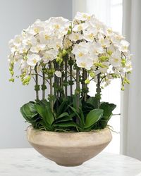 Orchid Arrangement in Tapered Bowl