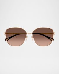Butterfly Acetate Sunglasses