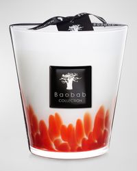 Max 16 Feathers Maasai Scented Candle