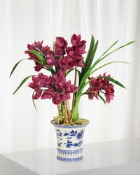 Cymbidium in Oval Planter