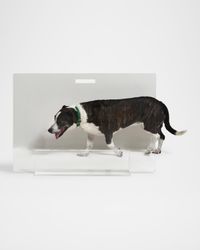 Clear Freestanding Pet Gate Panel, 36" Wide