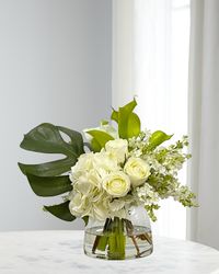 Hydrangea Split Philo in Vase