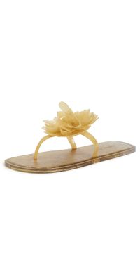 FARM Rio Flower Jelly Flat Sandal Buttermilk 8/9
