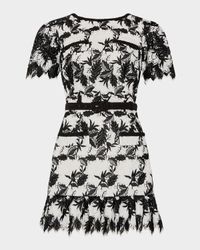 Paola Two-Tone Lace Mini Dress