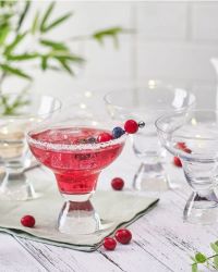 Craft 12.5 oz. Stemless Margarita Glasses, Set of 4