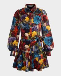 Flourish Lily Drop-Waist Mini Dress