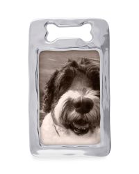 Open Dog Bone Picture Frame, 4" x 6"