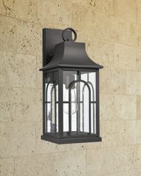 Triumph Large 1-Light Outdoor Wall Sconce - 17.8"