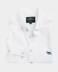 Men's Pointer Oxford Sport Shirt
