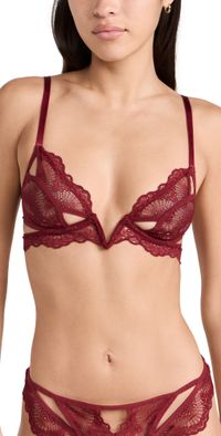 Thistle and Spire Kane V Wire Bra Ruby 32DD