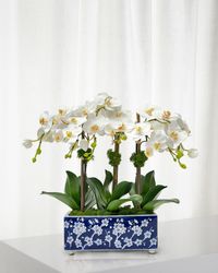 Orchid 19" Faux Floral Arrangement in Longlife Porcelain Arranger