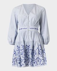 Rory Floral-Embroidered Flounce Mini Dress