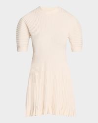 Talie Ribbed Puff-Sleeve Mini Dress