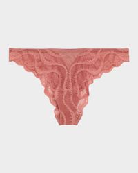 Leche Moi Scalloped Lace Panty