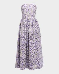 Dana Floral-Print Strapless A-Line Dress