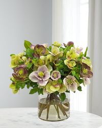 Hellebores in Cylinder Vase
