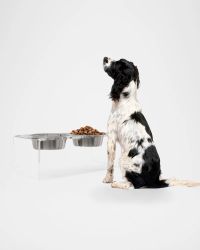 Medium Clear Double Bowl Pet Feeder, 2 Quart