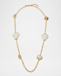 Multi-Seashell Station Necklace