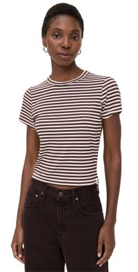 rag & bone Luca Stripe Rib Baby Tee Ivory Brown Multi XXS