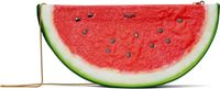 Moschino Red & Green Watermelon Bag