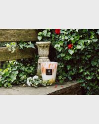 Max 16 Eden Garden Scented Candle