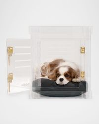 Small Clear View Pet Crate with Golden Latches