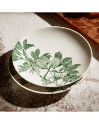 Arbor Green Canapes Plates, Set of 4