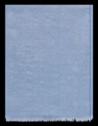 Pablo - Echarpe bords frangés - Taille Unique - Bleu