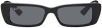 Ray-Ban Black Teru Sunglasses