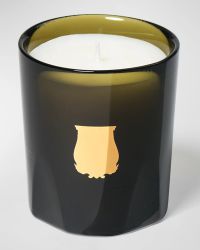 Ernesto Leather & Tobacco Candle, 2.5 oz.