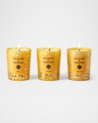 x Cristina Celestino Holiday Candle Trio, 3 x 2.5 oz.