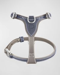 Petite Leather Dog Harness
