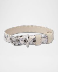 Barocco Dog Collar, Small