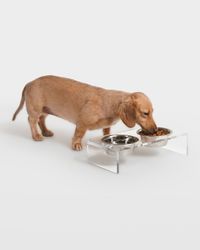 Small Clear Double Pet Bowl Feeder with 1 Pint Silver Bowls